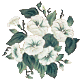 Coussin Pivoine et Iris en tapisserie